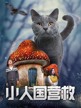 国产精品91免费在线