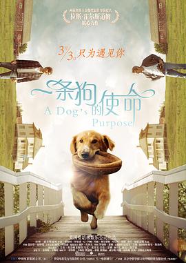 91视频专区