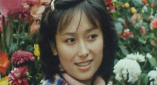 律师全系