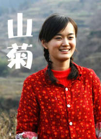 龙月泰剧电视剧全集免费观看