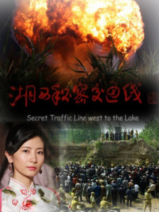 一区二区在线观看视频在线